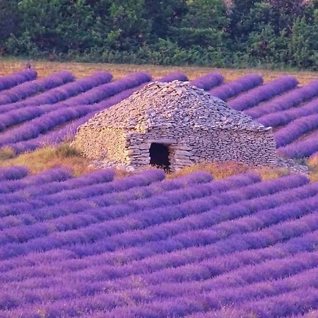 Entre Ventoux Et Luberon Chambre D'Hote Сол-де-Воклюз Екстериор снимка