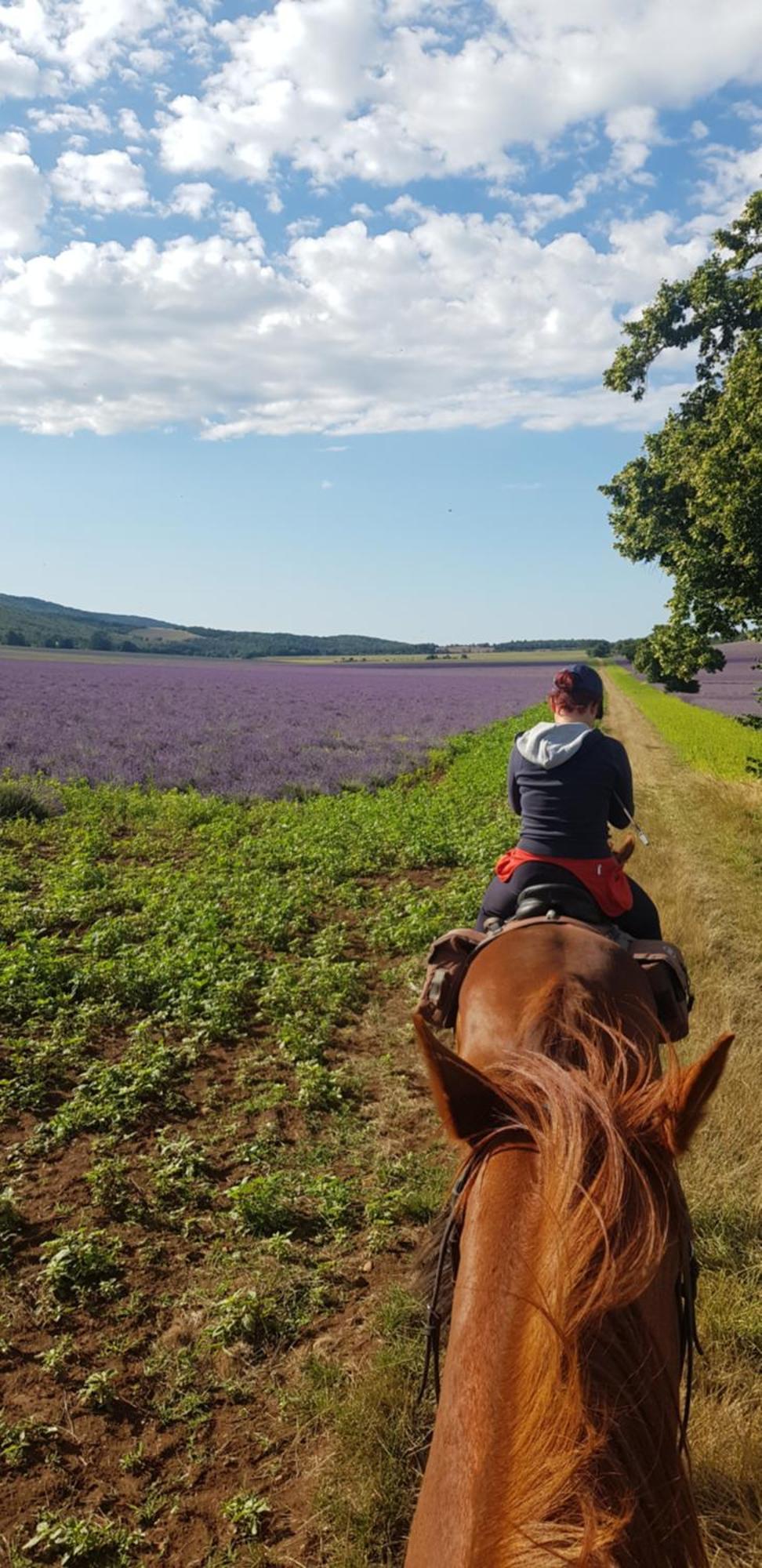 Entre Ventoux Et Luberon Chambre D'Hote Сол-де-Воклюз Екстериор снимка